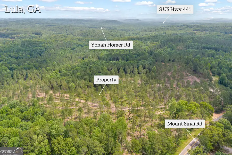 0 Mt. Sinai Road #LOT 2, Lula, GA 30554 - #3