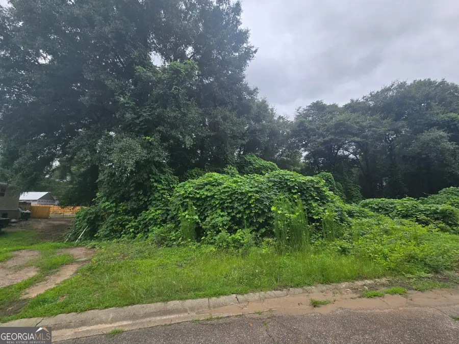317 Merry Way, Perry, GA 31069 - #3