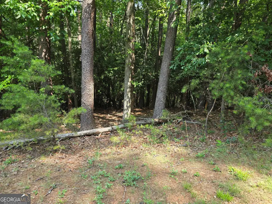 C2 Quail Run, Sautee Nacoochee, GA 30571 - #3