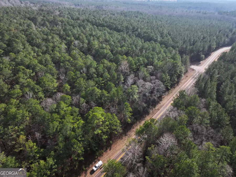 LOT 3 Salem Road, Pine Mountain, GA 31822 - #2