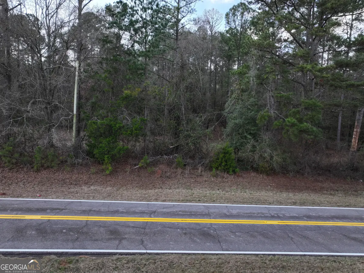 LOT 1 Salem Road, Pine Mountain, GA 31822 - #1