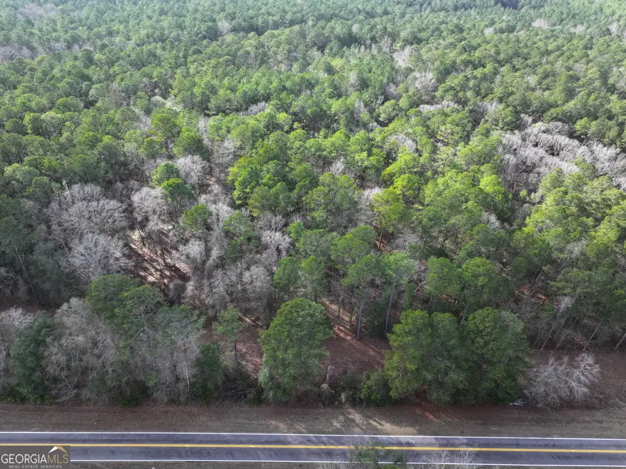LOT 1 Salem Road, Pine Mountain, GA 31822 - #2