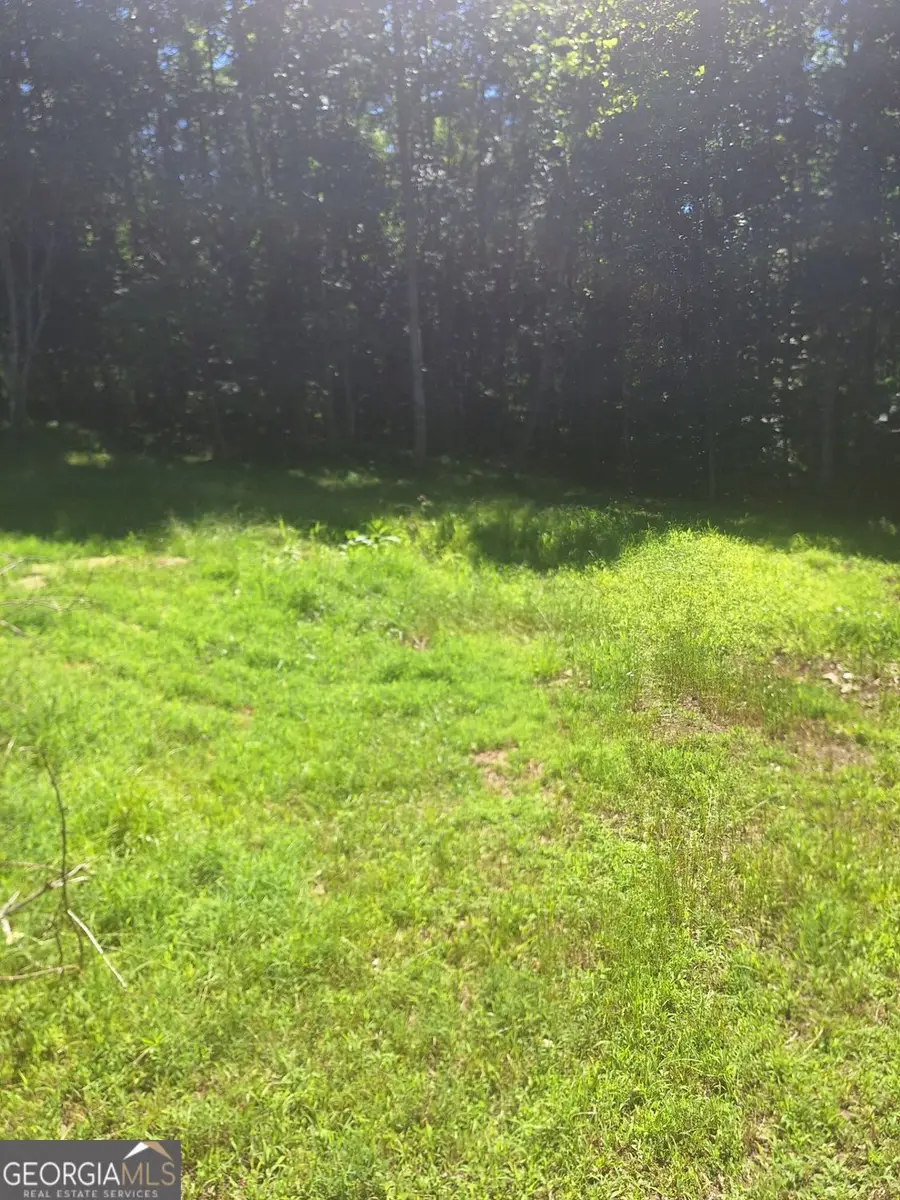 0 Judah Road, Morganton, GA 30560 - #3