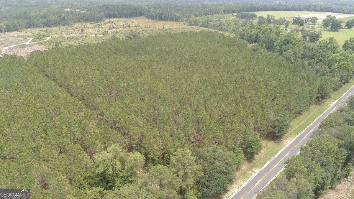 0 Hendrix Bridge Road, Claxton, GA 30417 - #1