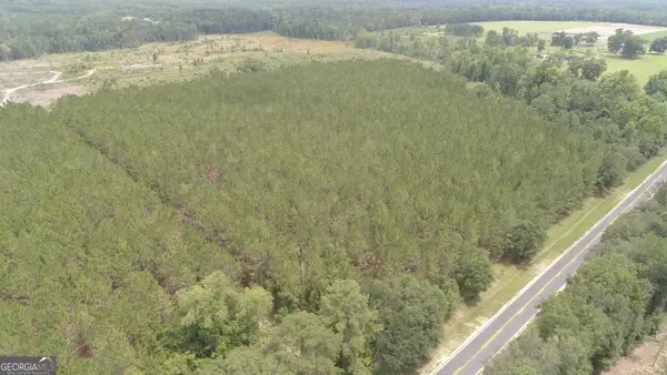0 Hendrix Bridge Road, Claxton, GA 30417