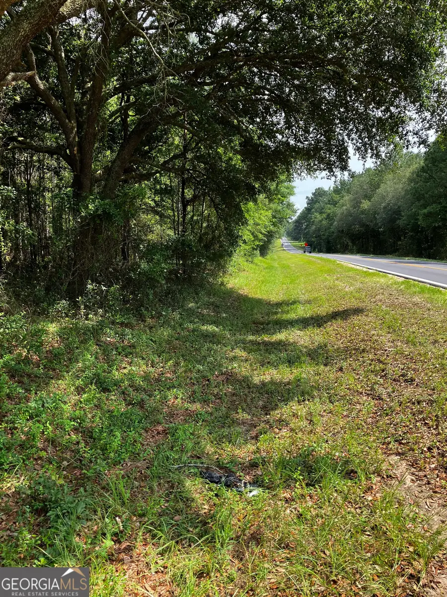 0 Hendrix Bridge Road, Claxton, GA 30417 - #3
