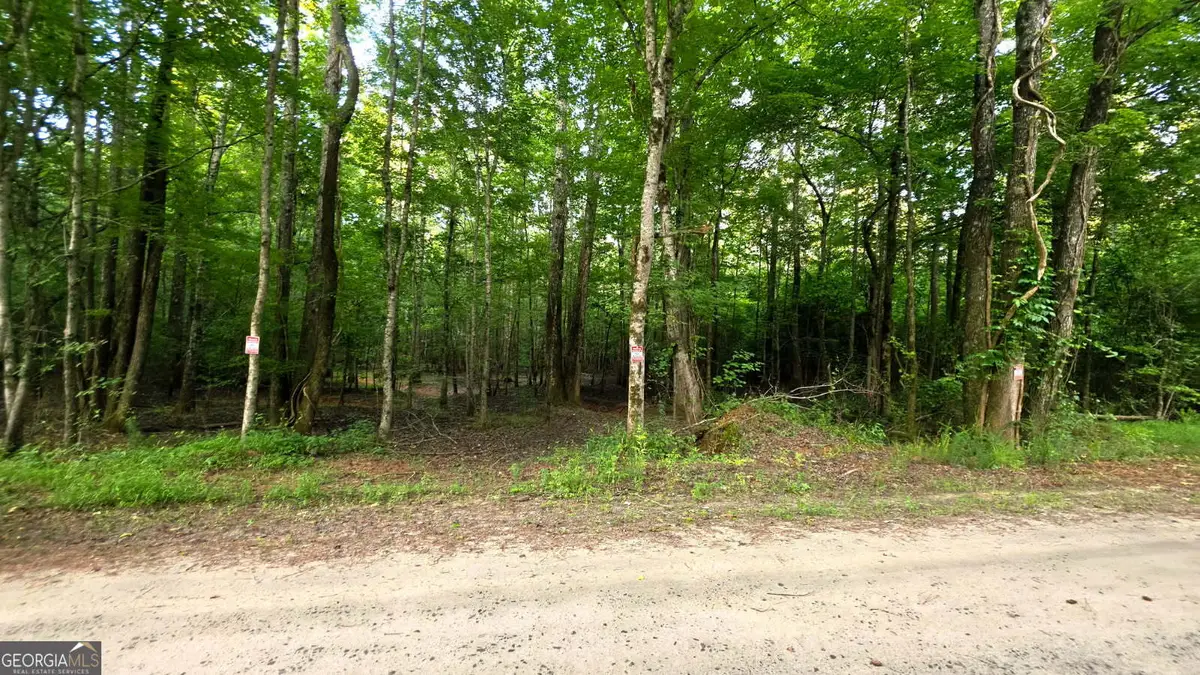 LOT 22 Gordon Road, Forsyth, GA 31029 - #1