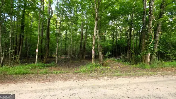 LOT 18 Gordon Road, Forsyth, GA 31029