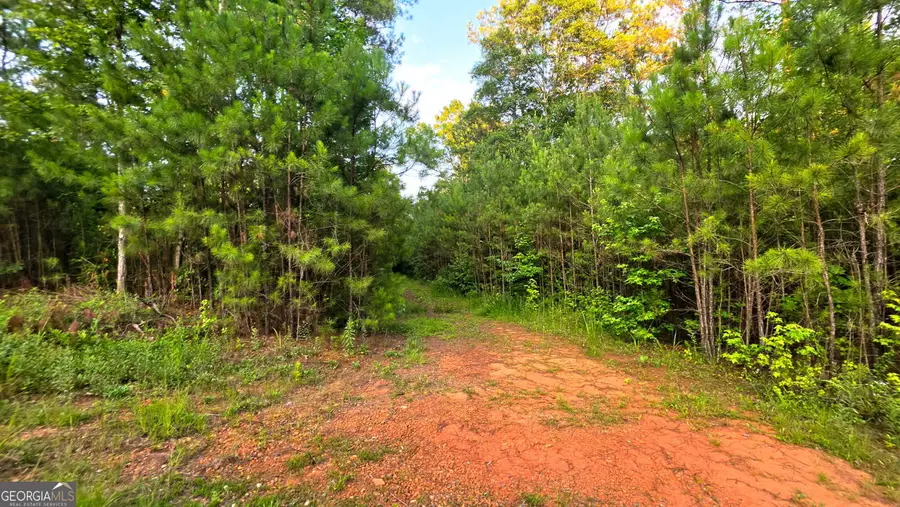 LOT 18 Gordon Road, Forsyth, GA 31029 - #2