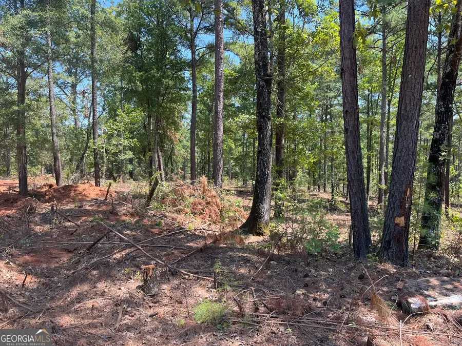 LOT 18 Gordon Road, Forsyth, GA 31029 - #3