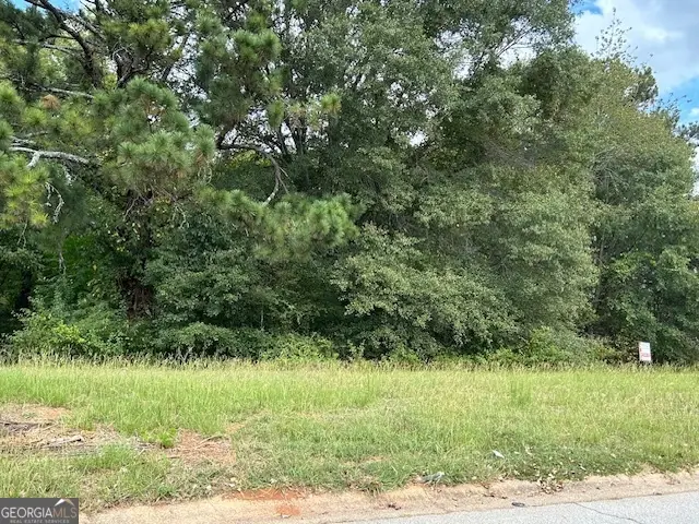 109 Burleyson Drive, McDonough, GA 30253 - #2