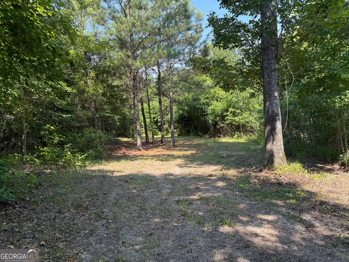 651 Branan Road, Toomsboro, GA 31090 - #1