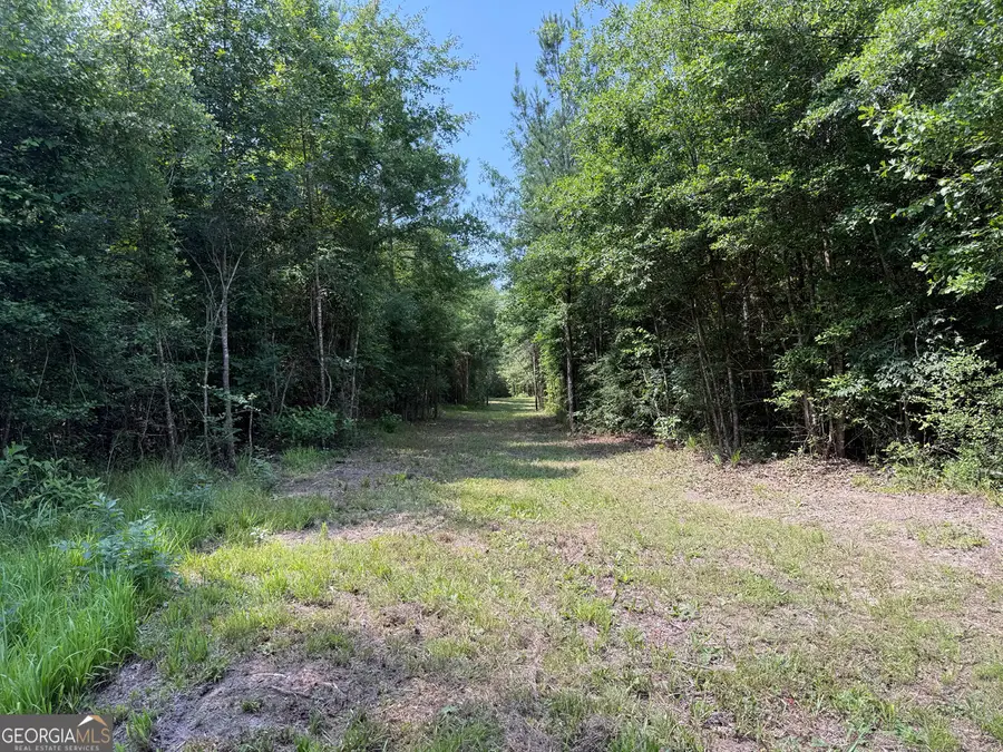 651 Branan Road, Toomsboro, GA 31090 - #2