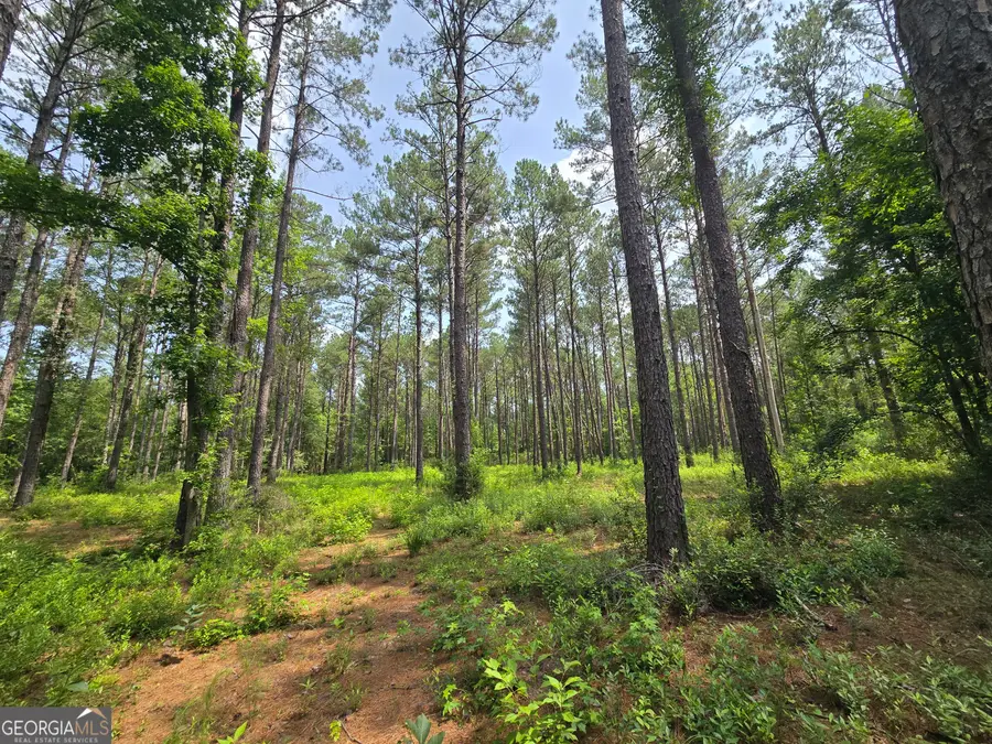 0 Colby Drive, Dublin, GA 31021 - #2
