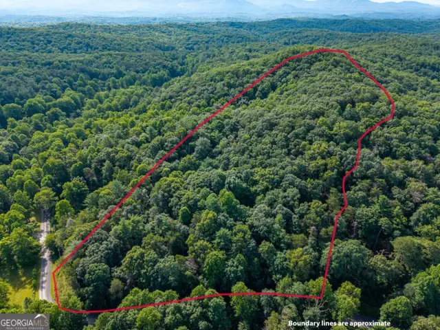 5198 Flat Branch Road, Ellijay, GA 30540 - #2