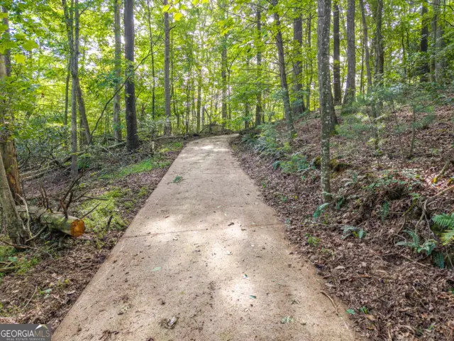 5198 Flat Branch Road, Ellijay, GA 30540 - #3