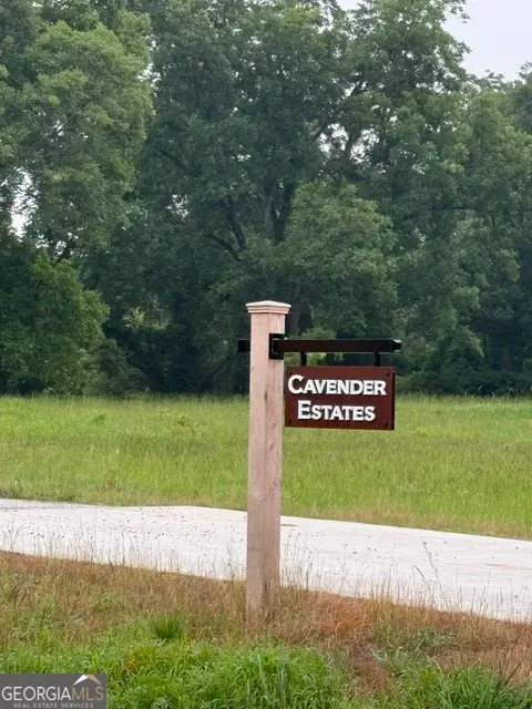 0 Bob Smith Road #4, Sharpsburg, GA 30277 - #2