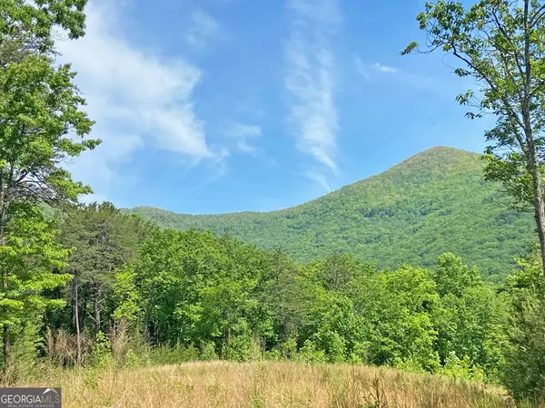 10.5AC Jack Walker Road, Dahlonega, GA 30533
