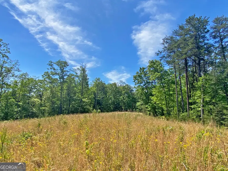 10.5AC Jack Walker Road, Dahlonega, GA 30533 - #2