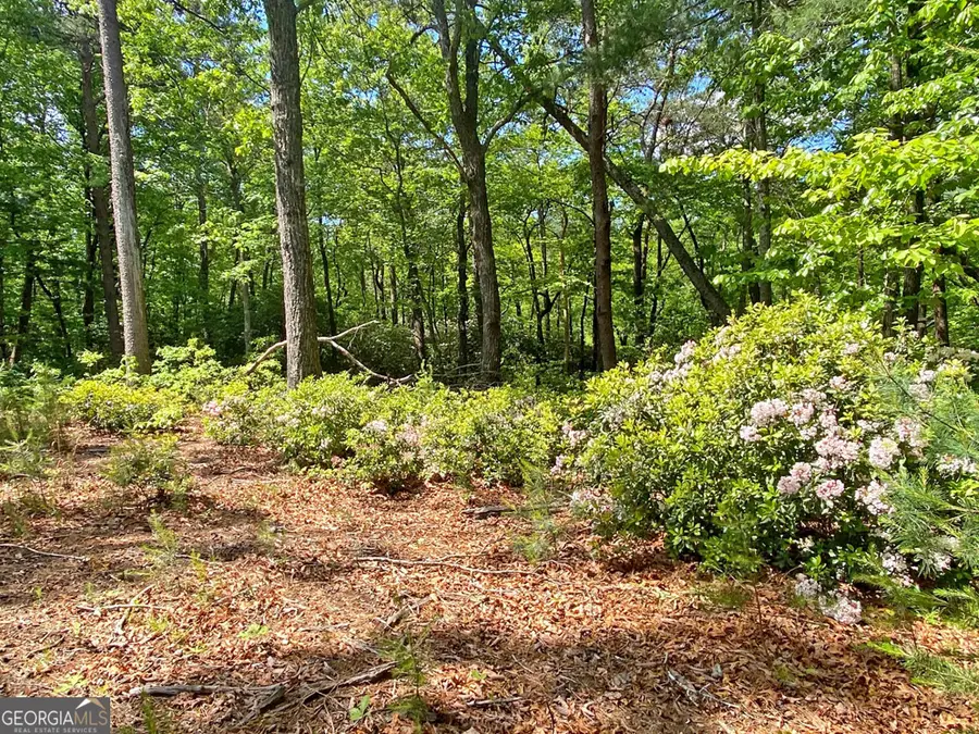 10.5AC Jack Walker Road, Dahlonega, GA 30533 - #3