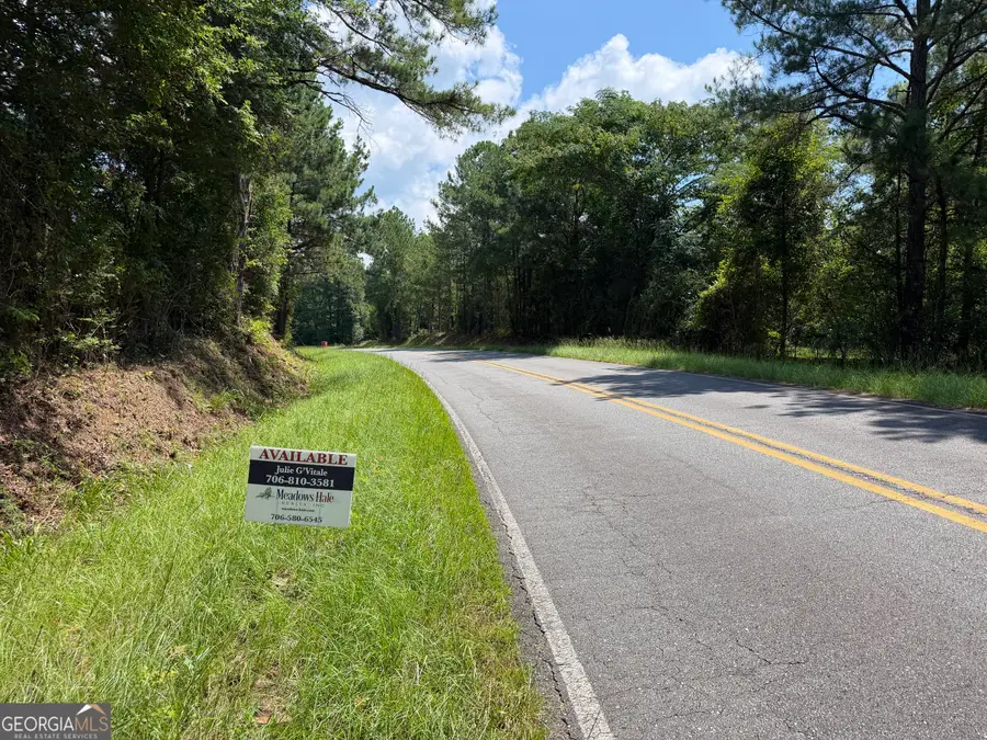 1.77 ACRES Olive Grove Church Road, Roberta, GA 31078 - #3