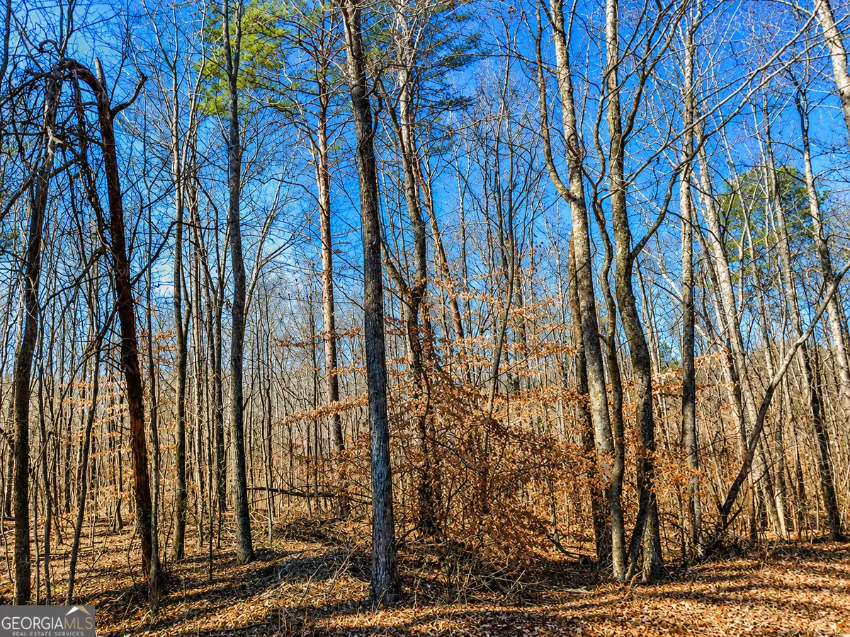 2 ACRES Pettit Road, Jasper, GA 30143 - #1