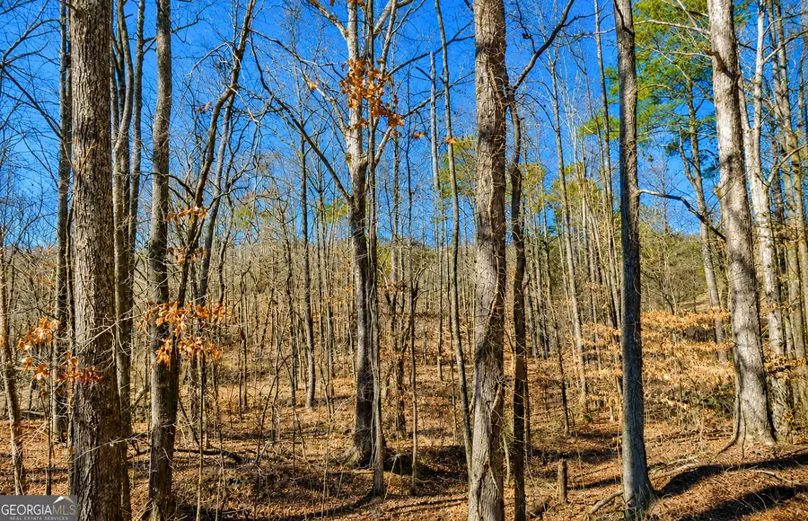 2 ACRES Pettit Road, Jasper, GA 30143 - #2