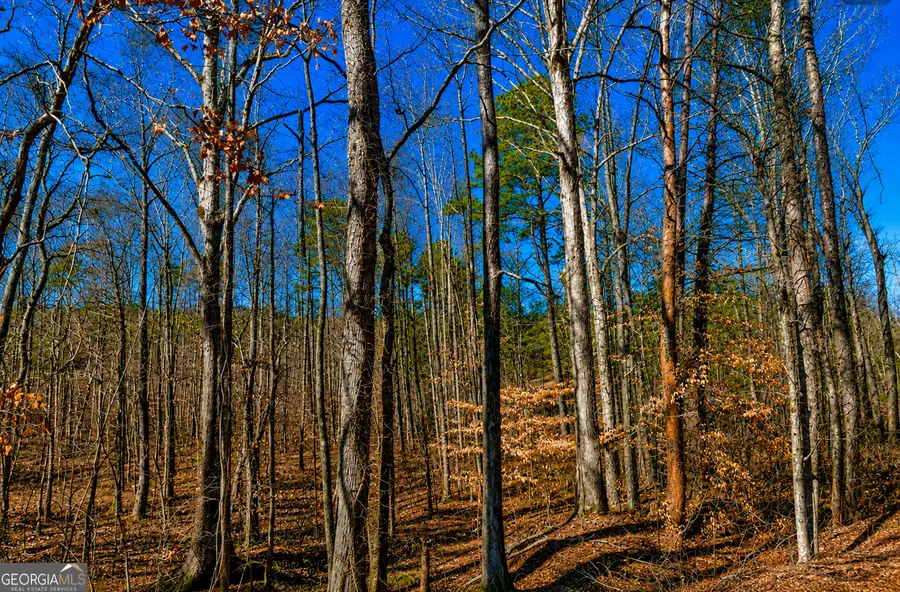 2 ACRES Pettit Road, Jasper, GA 30143 - #3