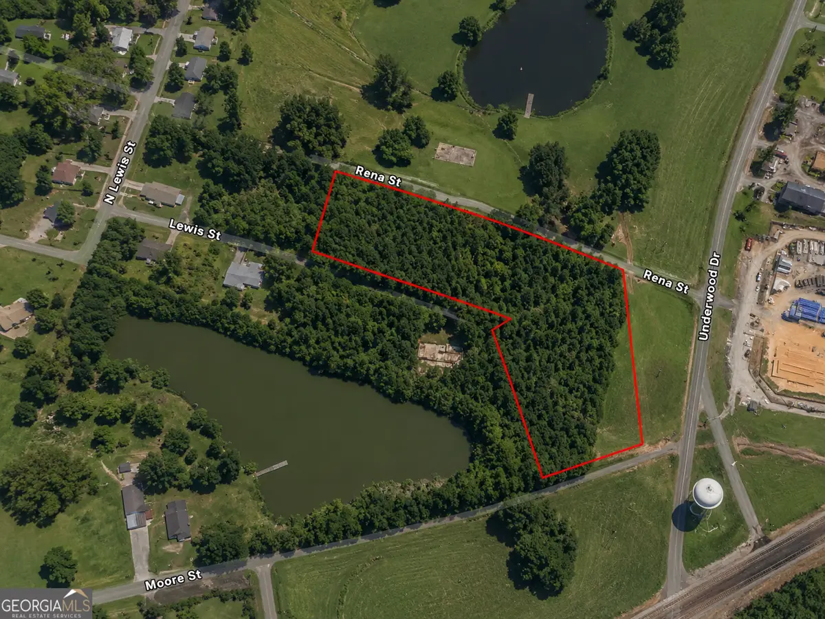 2.9 ACRES Lewis Street, Summerville, GA 30747 - #1