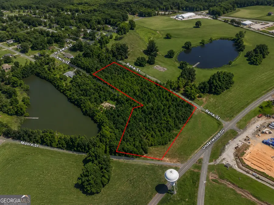 2.9 ACRES Lewis Street, Summerville, GA 30747 - #2