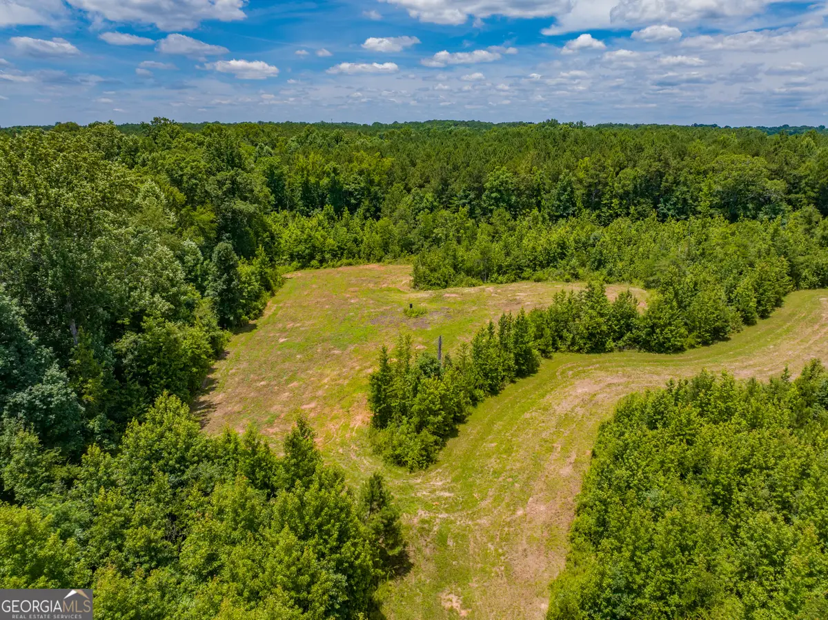 47.7 ACRES Cochran Road, Madison, GA 30650 - #1