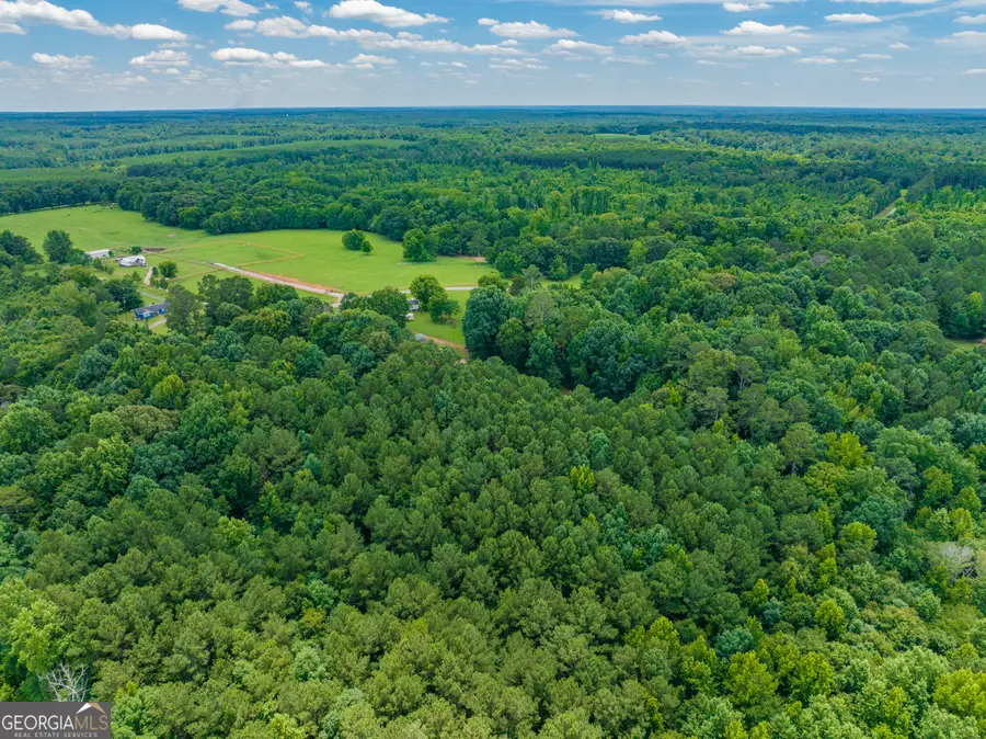 47.7 ACRES Cochran Road, Madison, GA 30650 - #2
