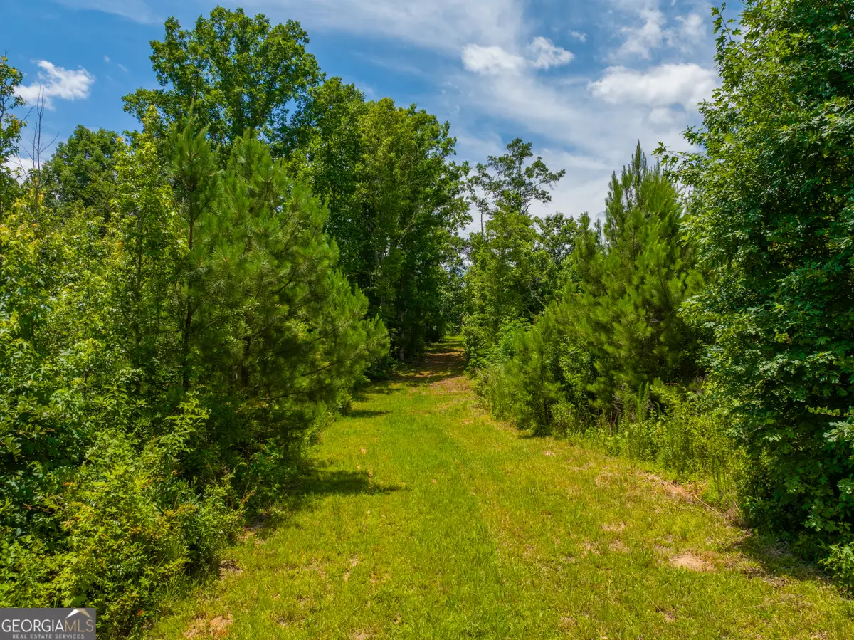 29.3 ACRES Cochran Road, Madison, GA 30650 - #1