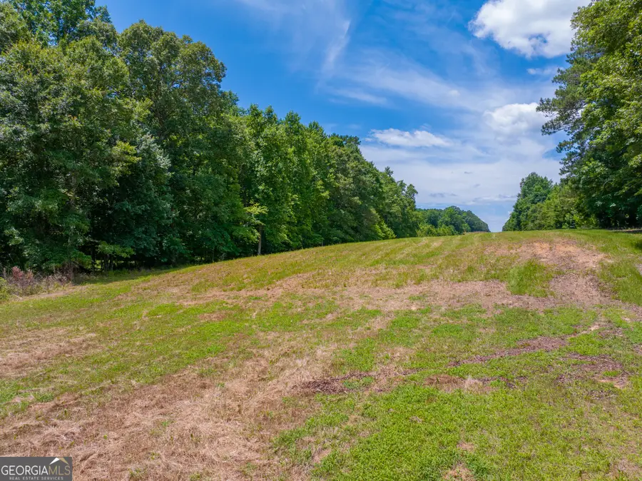 29.3 ACRES Cochran Road, Madison, GA 30650 - #3