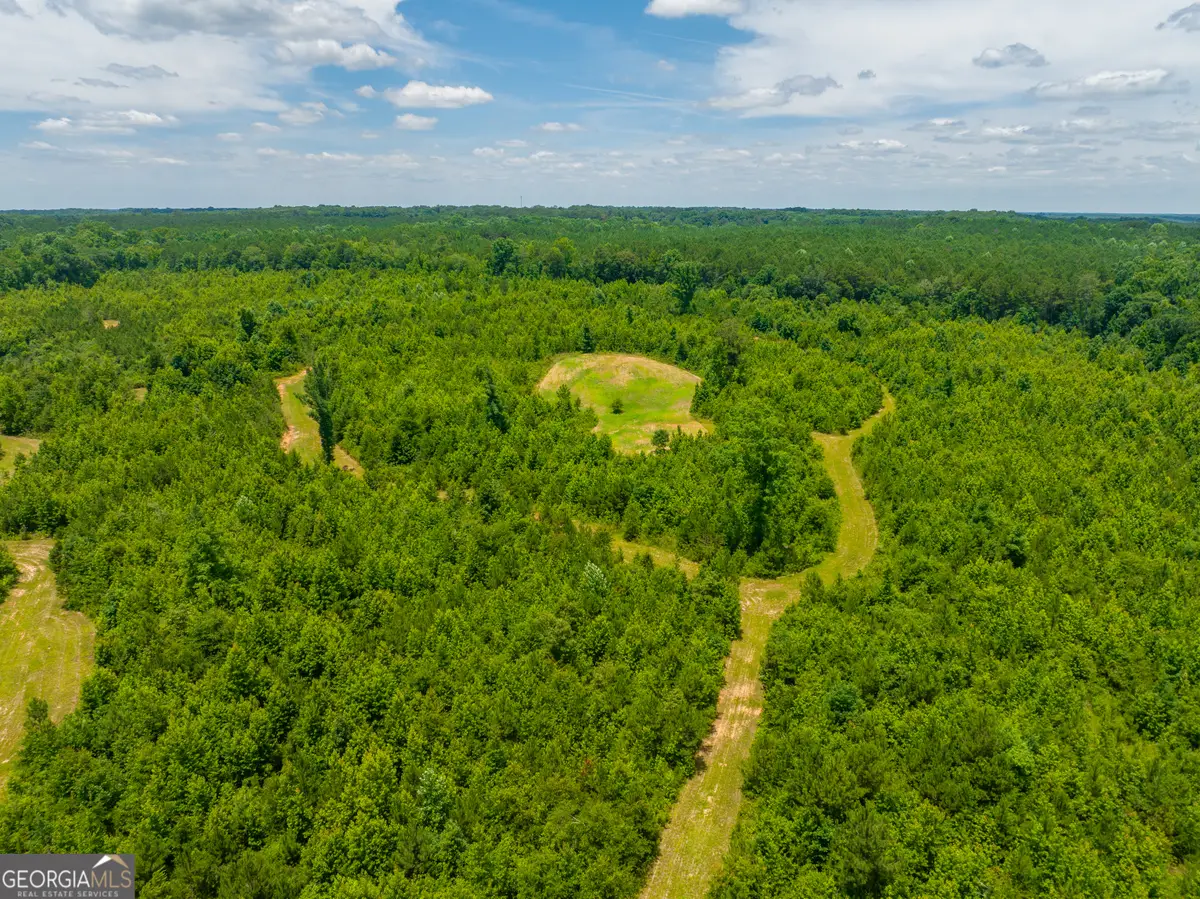 21.4 ACRES Cochran Road, Madison, GA 30650 - #1