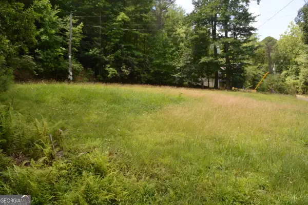 1032 Ruby Lake Drive, Hiawassee, GA 30546
