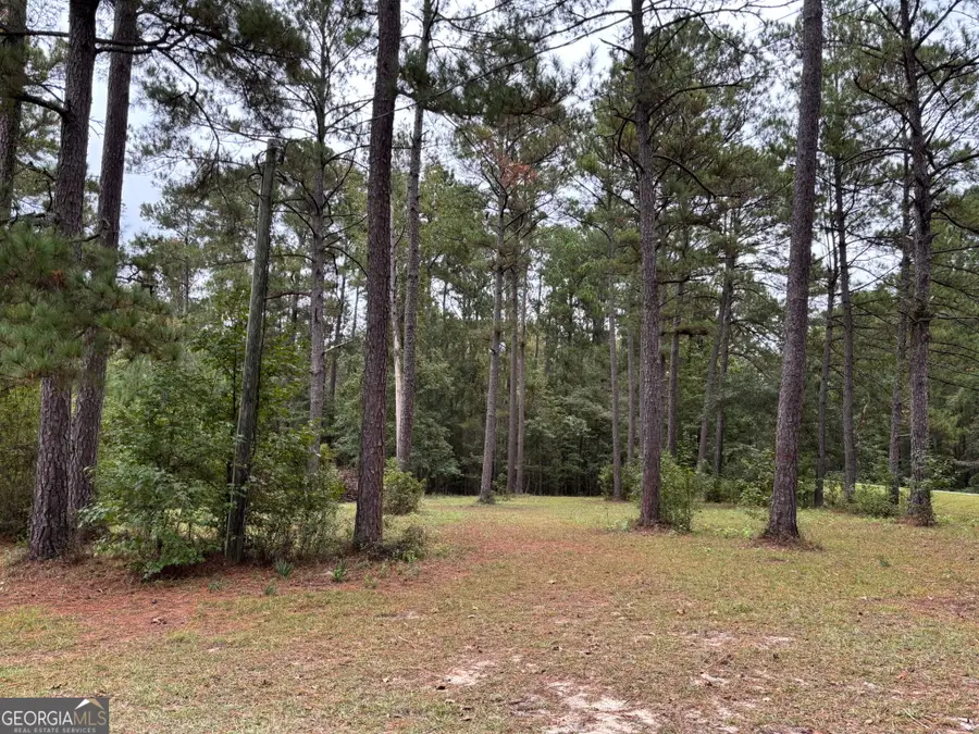 0 Buttermilk Road, Millen, GA 30442 - #2