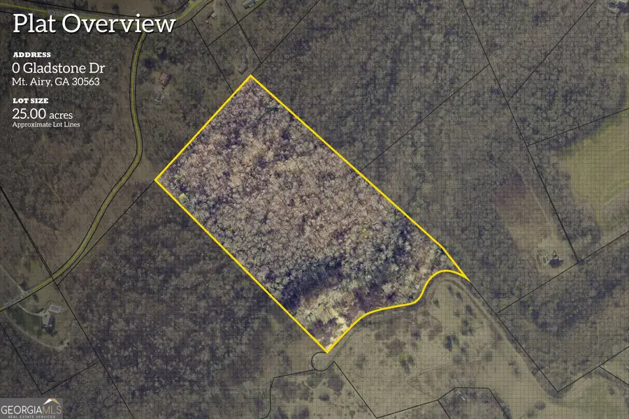 0 Gladston Drive, Mount Airy, GA 30563 - #2