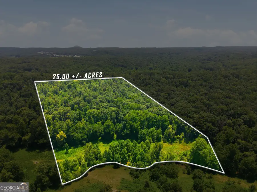 0 Gladston Drive, Mount Airy, GA 30563 - #3
