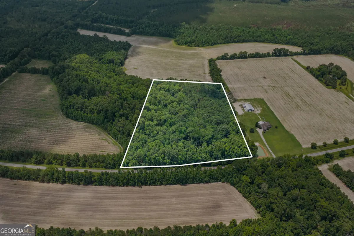 0 Old River Road, Garfield, GA 30425 - #1