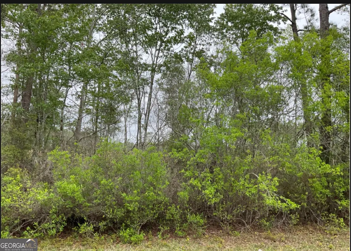 0 1601ac #TRACT 4, Townsend, GA 31331 - #1