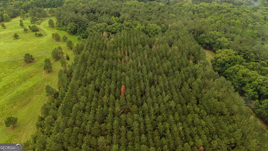 990 Ga Hwy 49 S, Americus, GA 31719 - #2