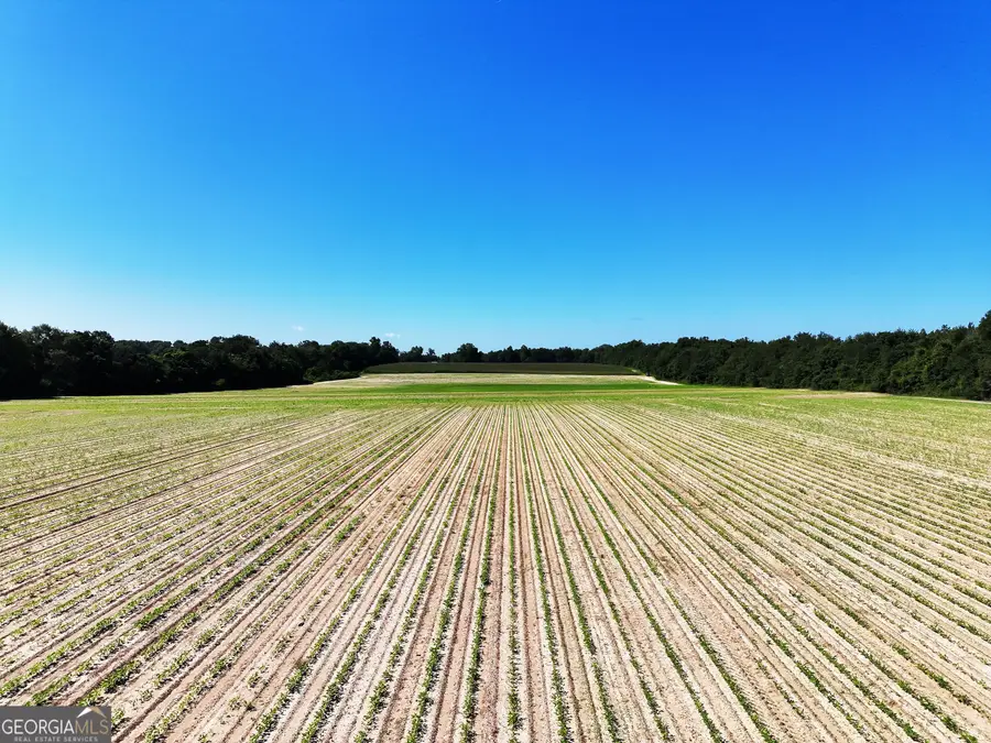 0 Tired Creek Road, Whigham, GA 39897 - #3