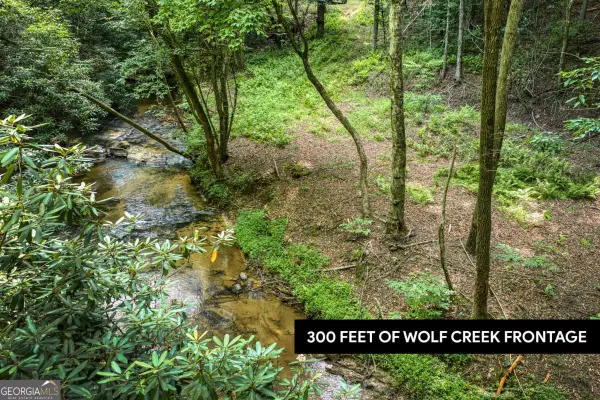 0 Mill Race Drive, Mineral Bluff, GA 30559