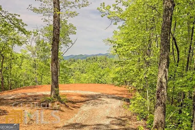 0 Wynngate Drive #21, Dillard, GA 30537 - #2