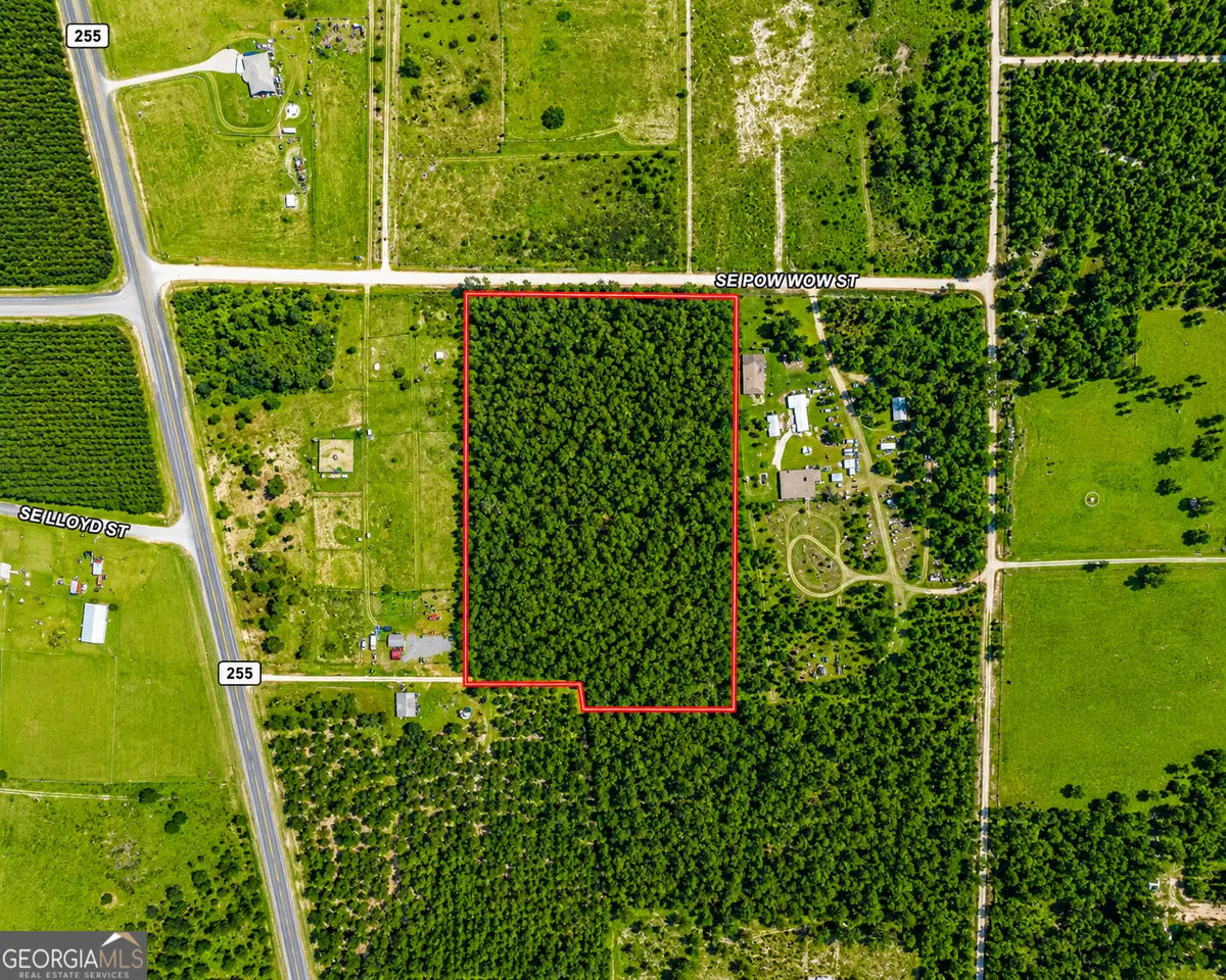 10.73 ACRES Se Pow Wow Street, Lee, FL 32059 - #1