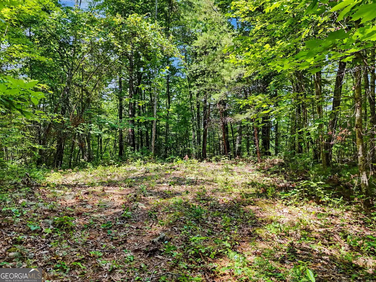 0 Hidden Falls Drive #LOT 3, Tiger, GA 30576 - #1