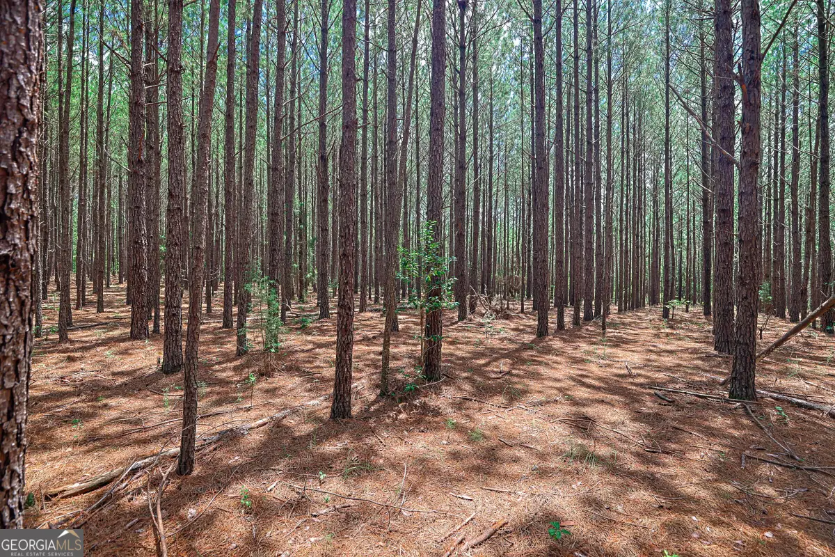 0 Wriley Road, McIntyre, GA 31054 - #1