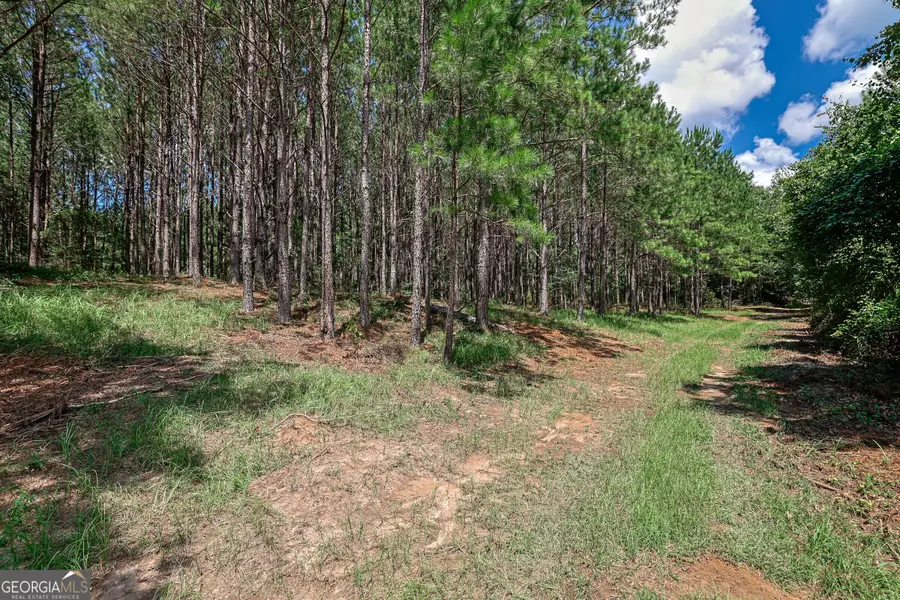 0 Wriley Road, McIntyre, GA 31054 - #2
