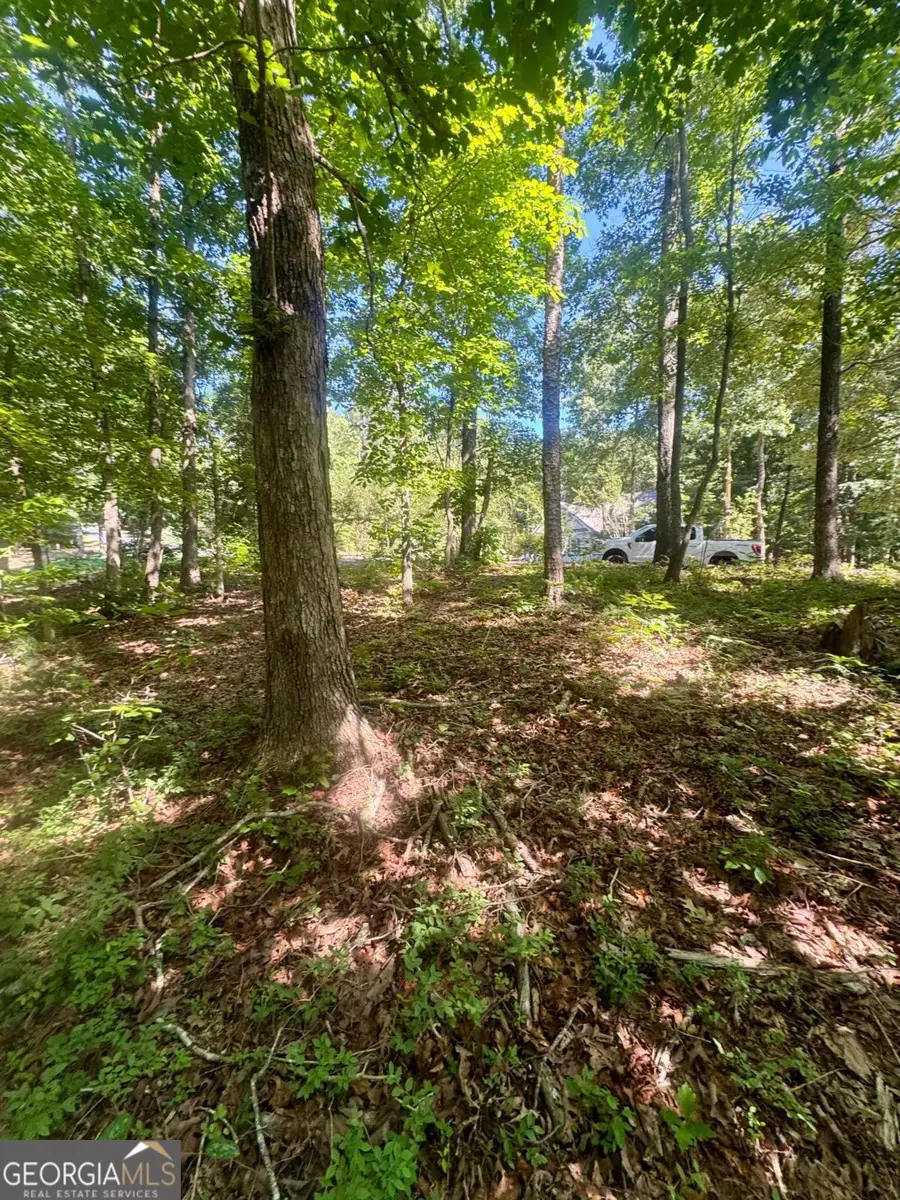 0 Teel Mountain Drive, Cleveland, GA 30528 - #2